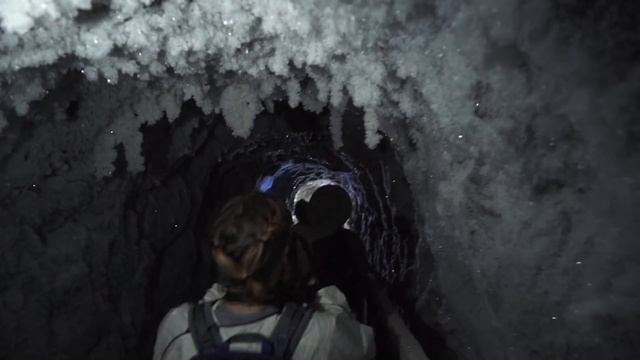 Pleistocene Park: Born to rewild смотреть онлайн