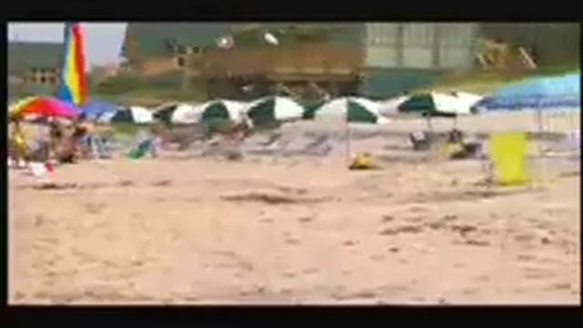 State of the Ocean's Animals: Can Loggerhead Turtles Survive the Industrial Age? смотреть онлайн