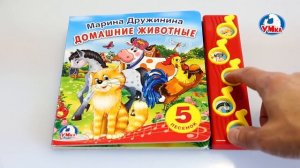 «УМка». Книжка «Домашние животные», 5 кнопок (197754)
