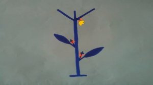 Формирование перца (все тонкости и нюансы формирования болгарского перца)