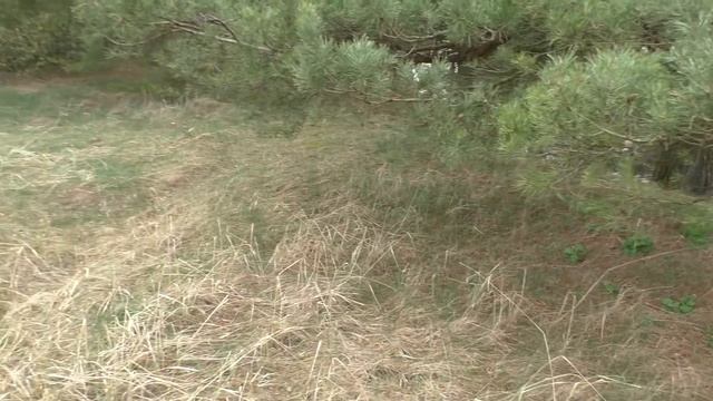 Коп на месте старого фольварка 4. смотреть онлайн