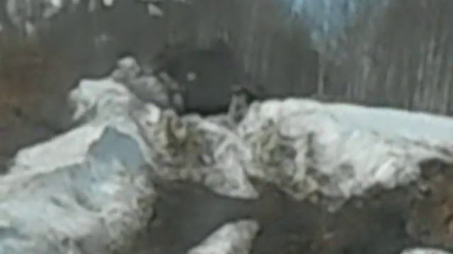 Сахалин смотреть онлайн