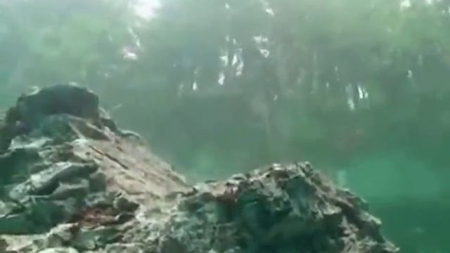 Зелёное озеро в Австрии - Grüner See смотреть онлайн