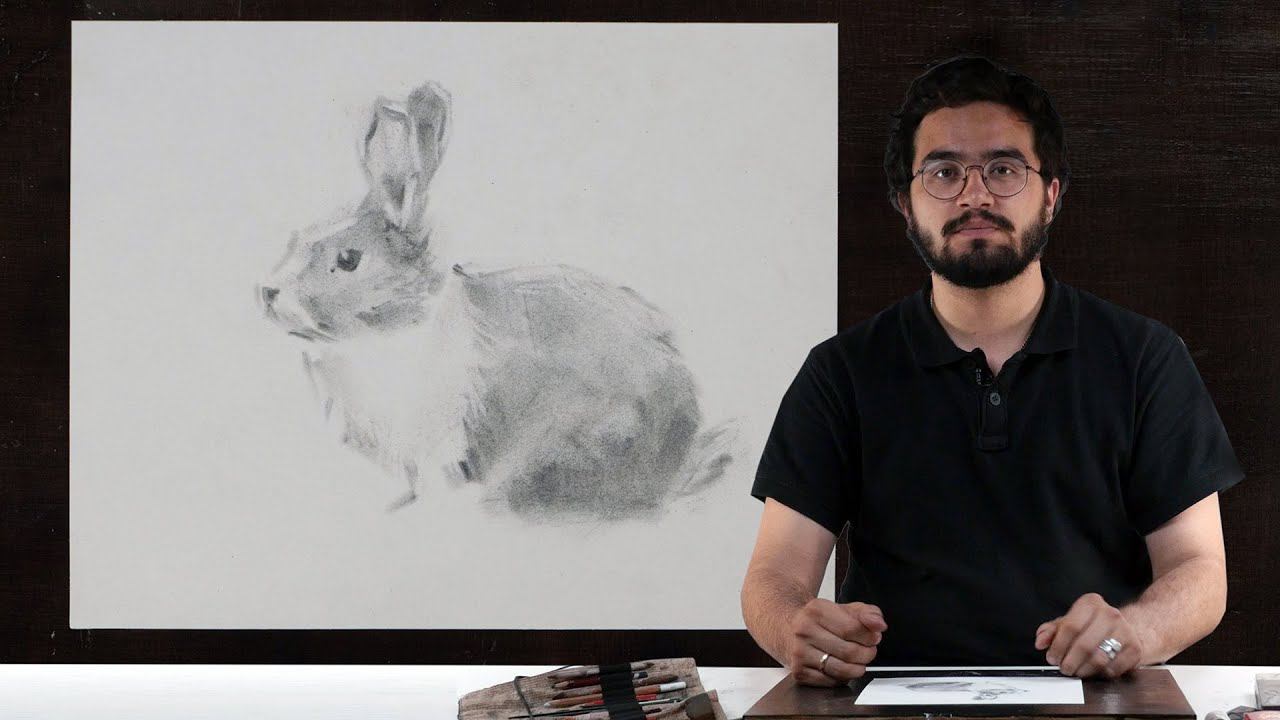 Экспресс-урок по графике «Кролик» | Как нарисовать кролика поэтапно смотреть онлайн