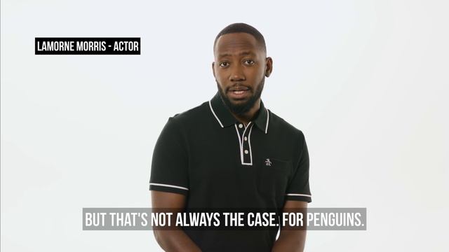 Project #ShareConservation 2017 смотреть онлайн