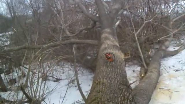 Oleo mac смотреть онлайн