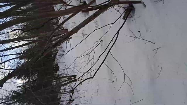 2 апреля 2022 г.Каракат на кразовских ободрышах смотреть онлайн