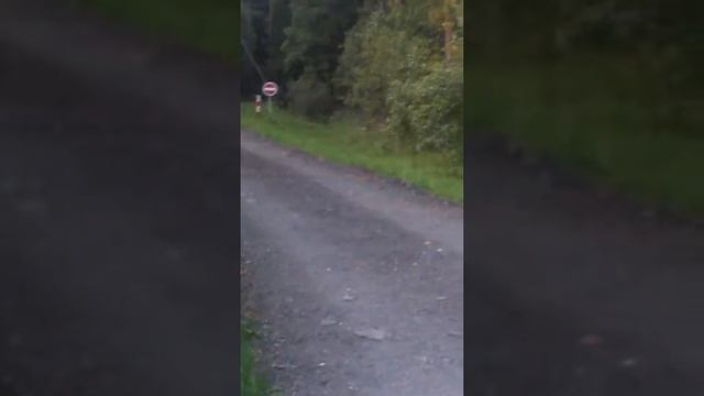 Дача3 смотреть онлайн