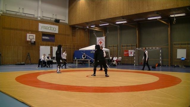 Anders Linnard vs Dennis Ljungqvist open longsword quarterfinal Swordfish 2014 смотреть онлайн