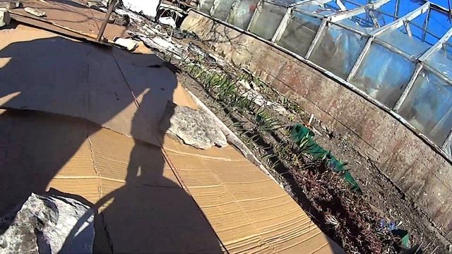 1521 Посадка (посев) клубники (земляники) под картон осень, весной, круглый год