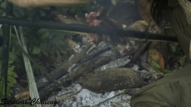 Solo Survival - No Fire, No Food, No Water, Fighting The Harsh Weather, facing Survival #29 смотреть онлайн