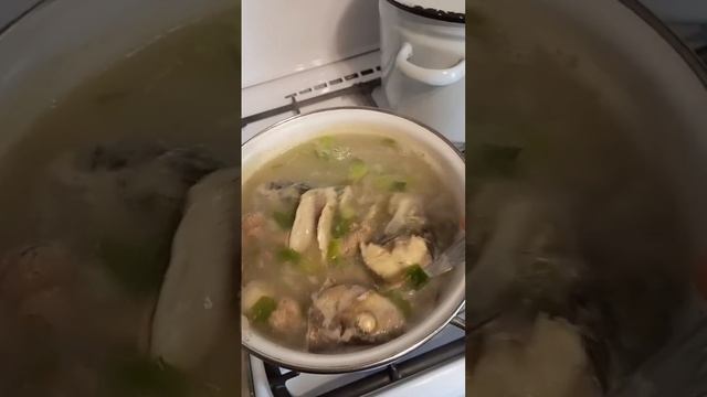 Жизнь за городом?. Уха из щуки, окуня, рипуса, налима? смотреть онлайн
