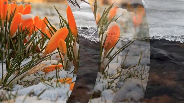 День рождения в марте. Красивое поздравление с днем рождения. Видео открытка смотреть онлайн