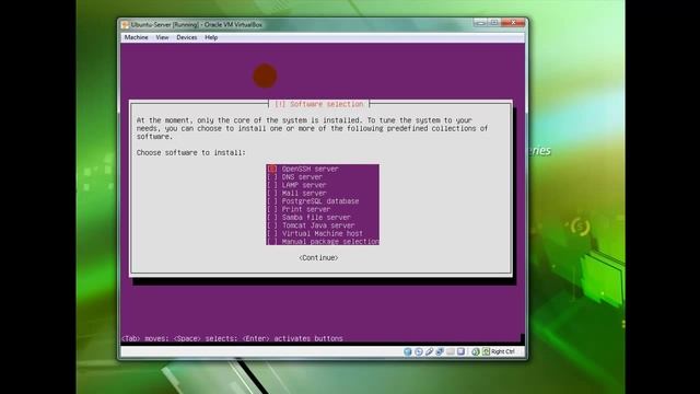 Install Ubuntu Server - Samba, LAMP, OpenSSH, DNS смотреть онлайн