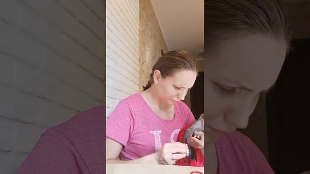 Уход за кошкой. стрижка когтей смотреть онлайн