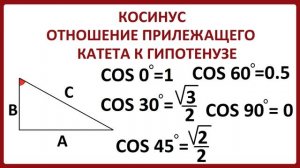 Что такое косинус? Как найти косинус? Урок для 8-го класса
