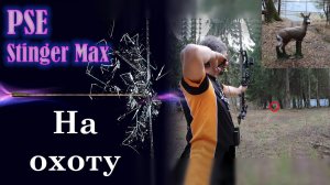 На охоту с блочным луком PSE Stinger MAX