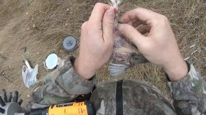 Сравнение ощипывания куропаток без и с ошпариванием. Ощипывание куропатки 3 минуты.