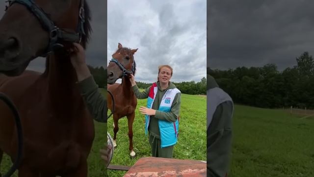 СОДЕРЖАНИЕ ЛОШАДИ В ДОМАШНИХ УСЛОВИЯХ #рыжийфермер #shorts #ферма