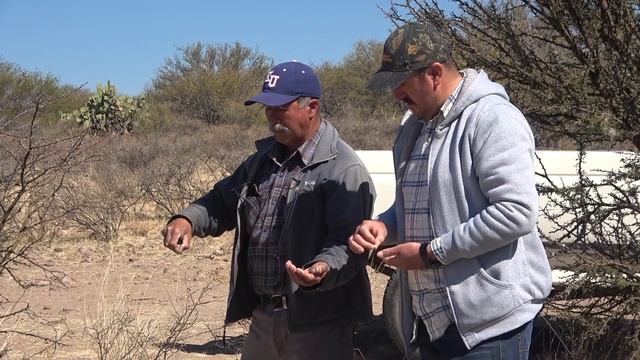 HORMIGUEROS para encontrar AGUA - ALMA Coronel смотреть онлайн