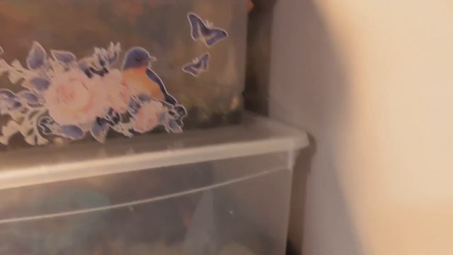 ВЕЧЕР С МОИМИ ПИТОМЦАМИ смотреть онлайн