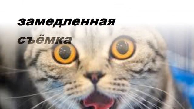 что будет если нагреть мед.ампулу смотреть онлайн