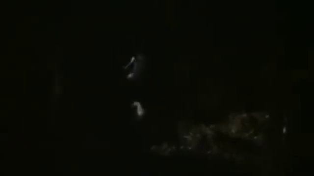 Werewolf Woman смотреть онлайн