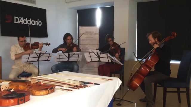 W.G. Luk Quartet - 2018 Malta International Violin Making Competition