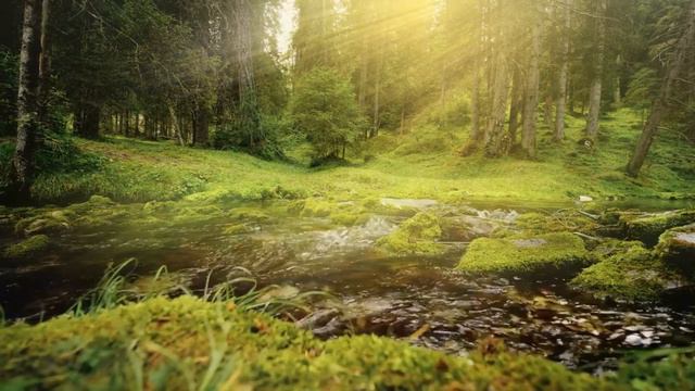 Nature's Lullaby: Running River Melodies for Deep Relaxation смотреть онлайн