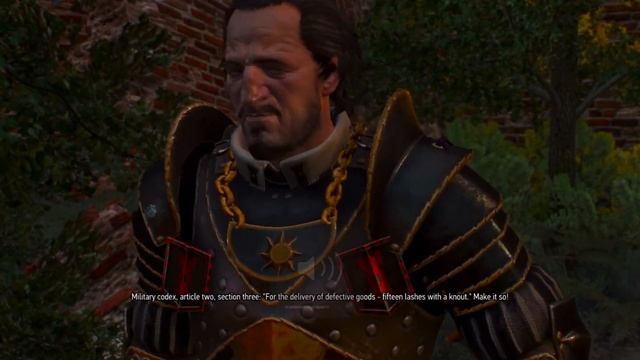 The Witcher 3 GeforceNow On Macbook Pro