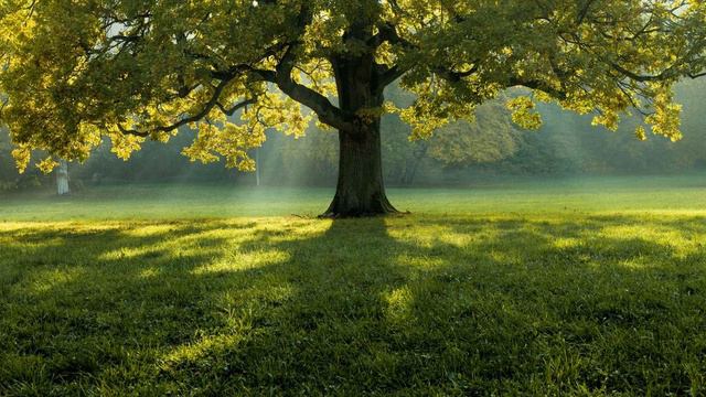 ”Song From A Secret Garden”