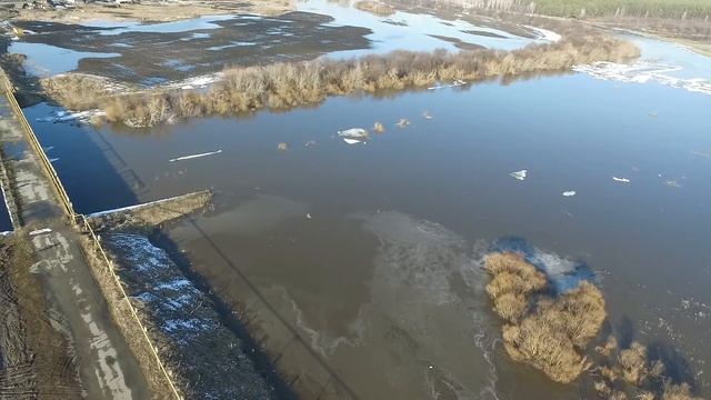 Камышловский район, река Пышма. Паводок-1 смотреть онлайн