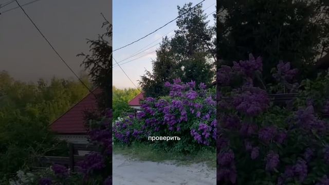 Эта мысль изменила меня в лучшую сторону 🙌🏻😇 #влог #минивлог #саморазвитие смотреть онлайн