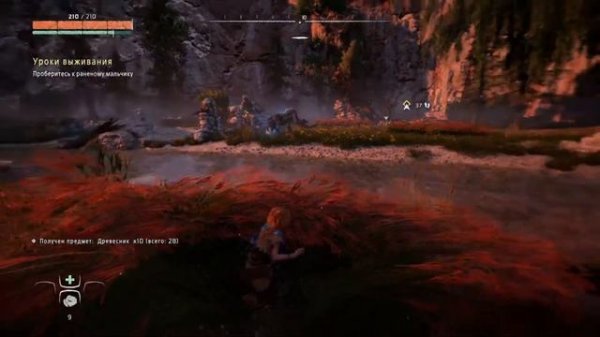 Первое знакомство