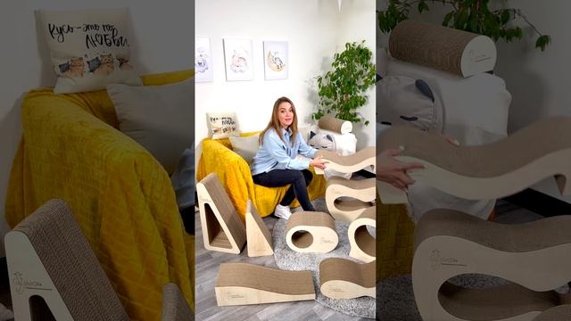 Когтеточки Фрося. "Лежанка" смотреть онлайн