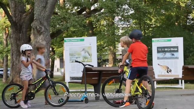 Стих «Лето, велик, красота». смотреть онлайн