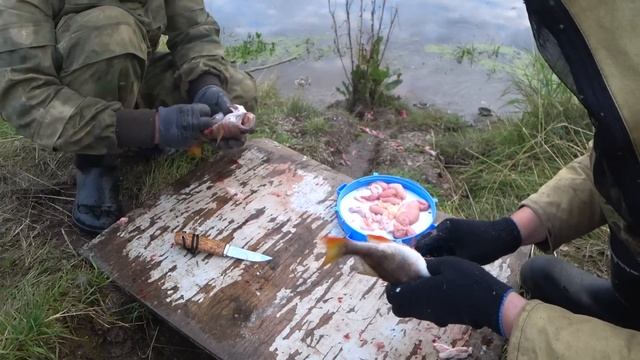 НАШЛИ В ОКУНЕ ЖУТКОГО ГРЫЗУНА!!! ЧИСТИМ КРУПНЫХ ОКУНЕЙ ПОСЛЕ РЫБАЛКИ. ПОЛНЫЙ ТАЗ РЫБЫ ЗА ОДИН ВЫХОД смотреть онлайн