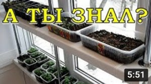 Если РАССАДУ некуда поставить... ПОЛКИ на ПОДОКОННИКЕ - супер решение!???