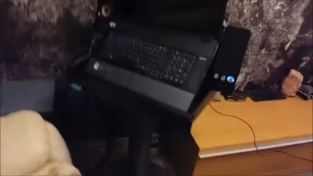 Творческий Путь