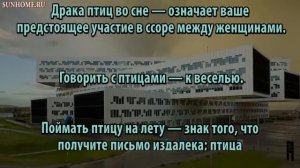 К чему снится Птица сонник, толкование сна