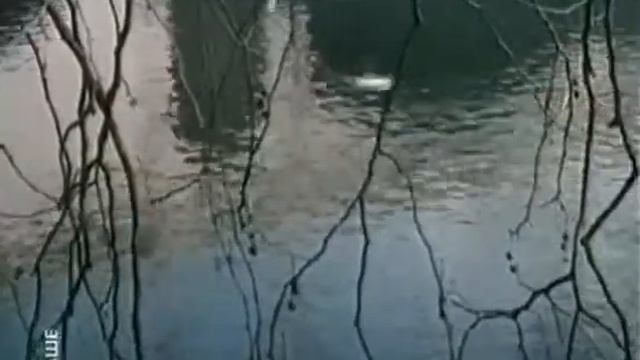 Лидер. Как стать лидером в школе и на работе смотреть онлайн