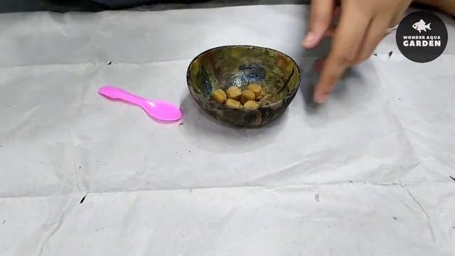 How to Culture Grindal Worms in Tamil | Grindal Worms | தமிழ் | Wonder Aqua Garden смотреть онлайн