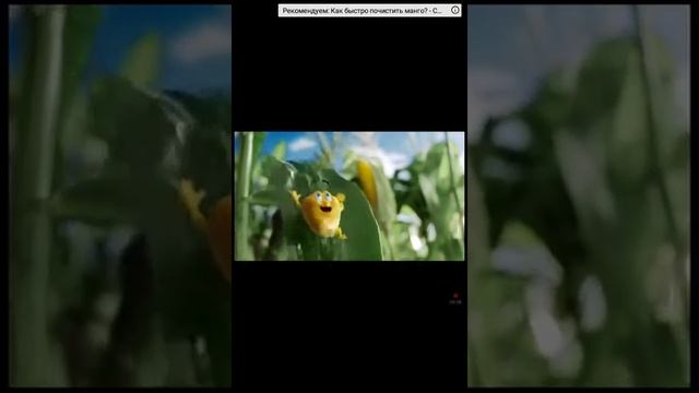 Новая реклама, кукуруза. Bonduelle смотреть онлайн