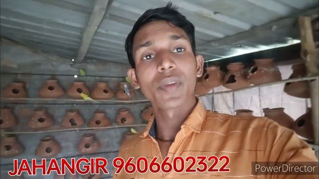 ONLINE ALL INDIA DELIVERY/WHITE JAVA PRICE / SELVAR JAVA PRICE/ FAUN JAVA PRICE// BALAK JAVA PRICE смотреть онлайн