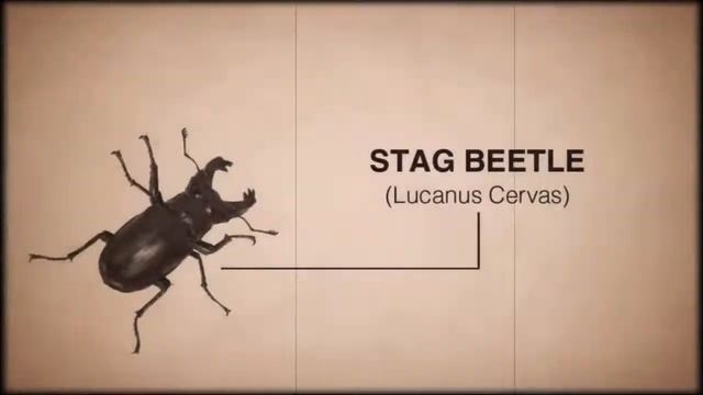 'Centipede: Invasion' to update classic arcade game смотреть онлайн