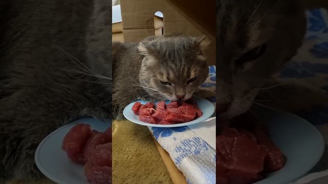 Альф смотреть онлайн