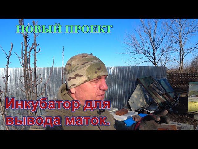 ИНКУБАТОР ДЛЯ ВЫВОДА МАТОК. Часть 1. смотреть онлайн