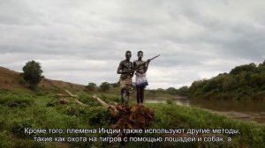 Охота на тигров Как это делают племена Индии