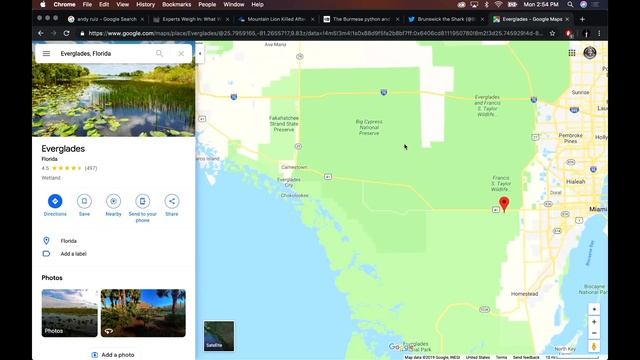 Joe Rogan | Pythons & Alligators Are Battling in the Everglades смотреть онлайн