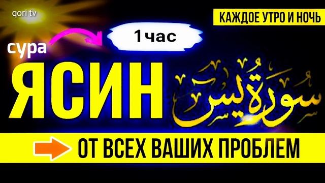 Сура Ясин Перед Сном? на каждый день... смотреть онлайн